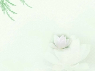 《四边形分类》课件