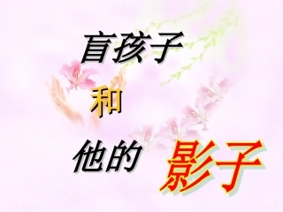 《盲孩子和他的影子》参考课件1