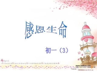 感恩生命(1)