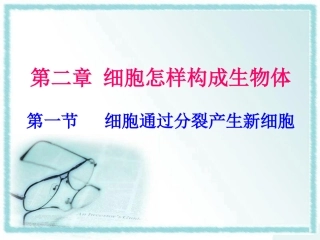 人教版七年级生物上册《细胞通过分裂产生新细胞》