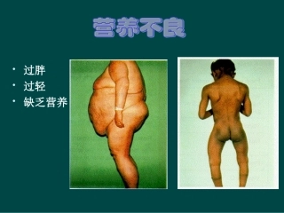 生物：苏教版七年级下_93_膳食指南与食品安全(课件)