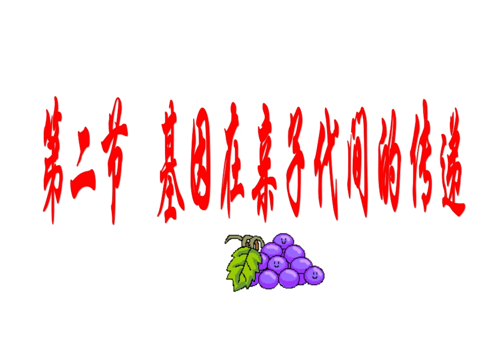 初中二年级生物下册第七单元第二章生物的遗传和变异第二节基因在亲子代间的传递第一课时课件_第3页