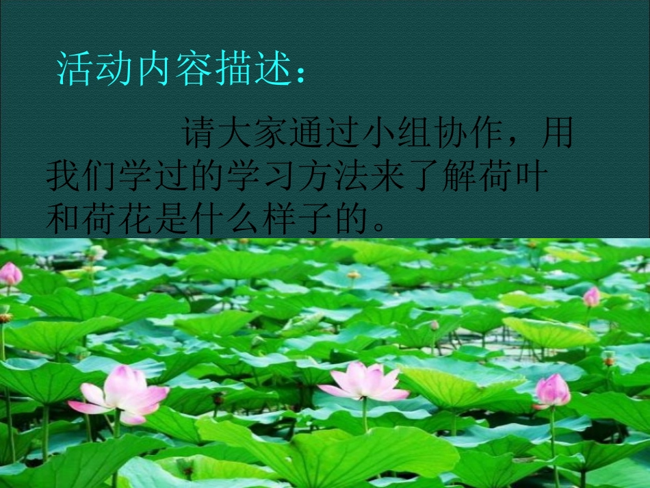 朱慧云《荷花》_第2页