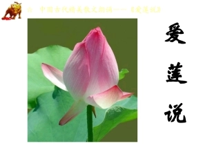 爱莲说课件(唯美配乐全面)