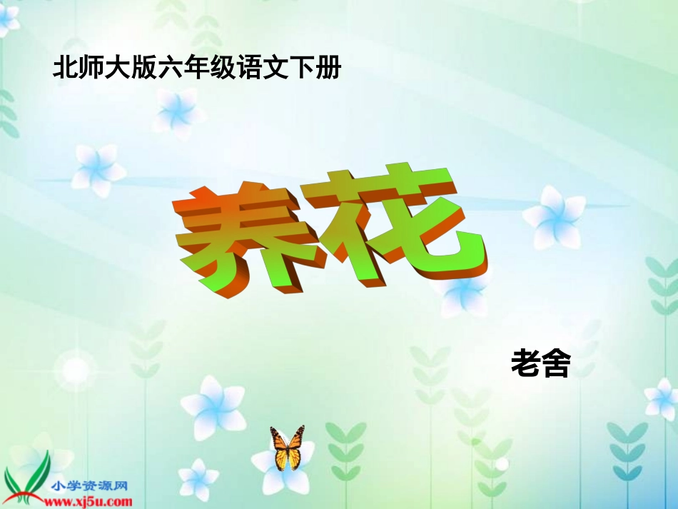 北师大版六年级语文下册《养花_3》PPT课件_第1页