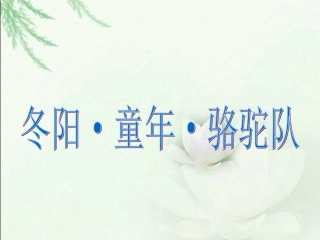 《冬阳_童年_骆驼队》