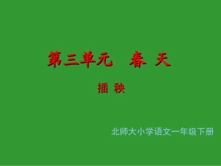 《插秧》课件