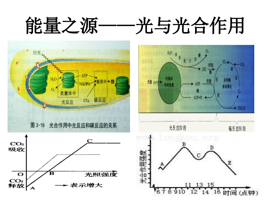 能量之源——光合作用_第1页