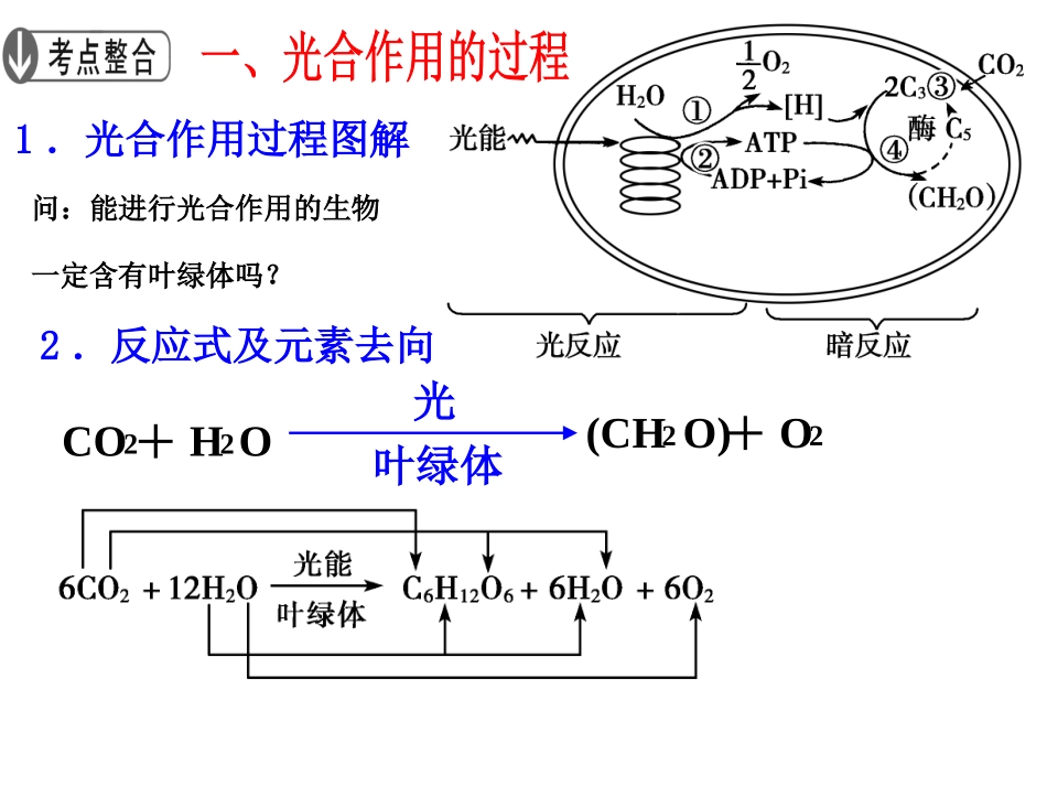 能量之源——光合作用_第2页
