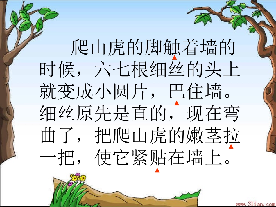 《爬山虎的脚》_第3页