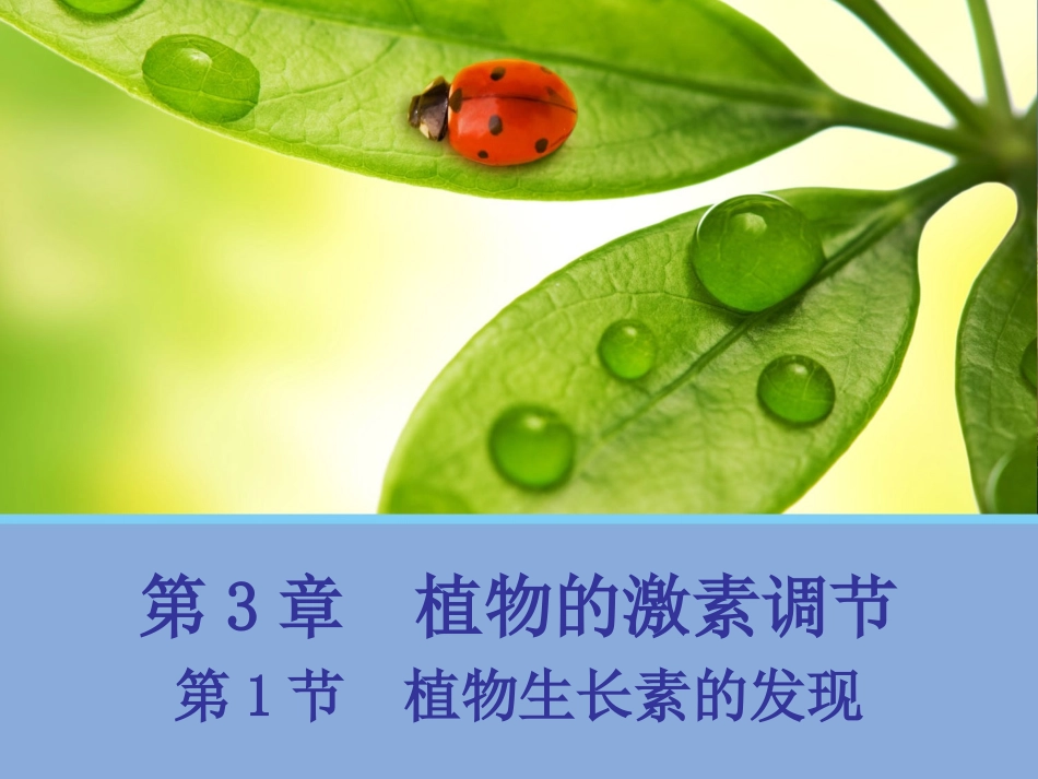 植物生长素的发现 (2)_第1页