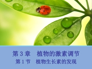 植物生长素的发现 (2)