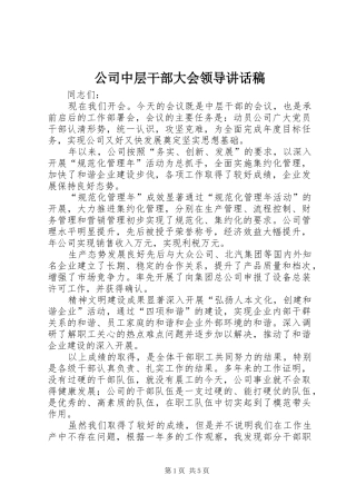 公司中层干部大会领导讲话发言稿