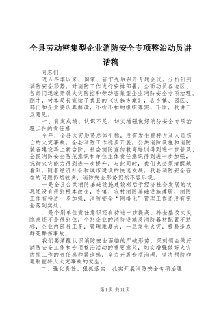 全县劳动密集型企业消防安全专项整治动员的讲话发言稿