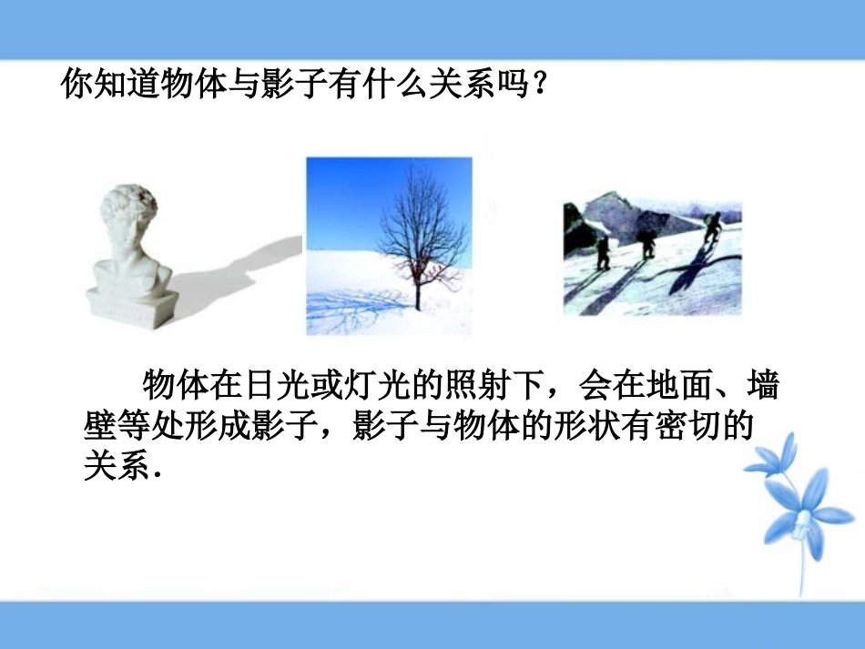 《投影》参考课件1_第2页