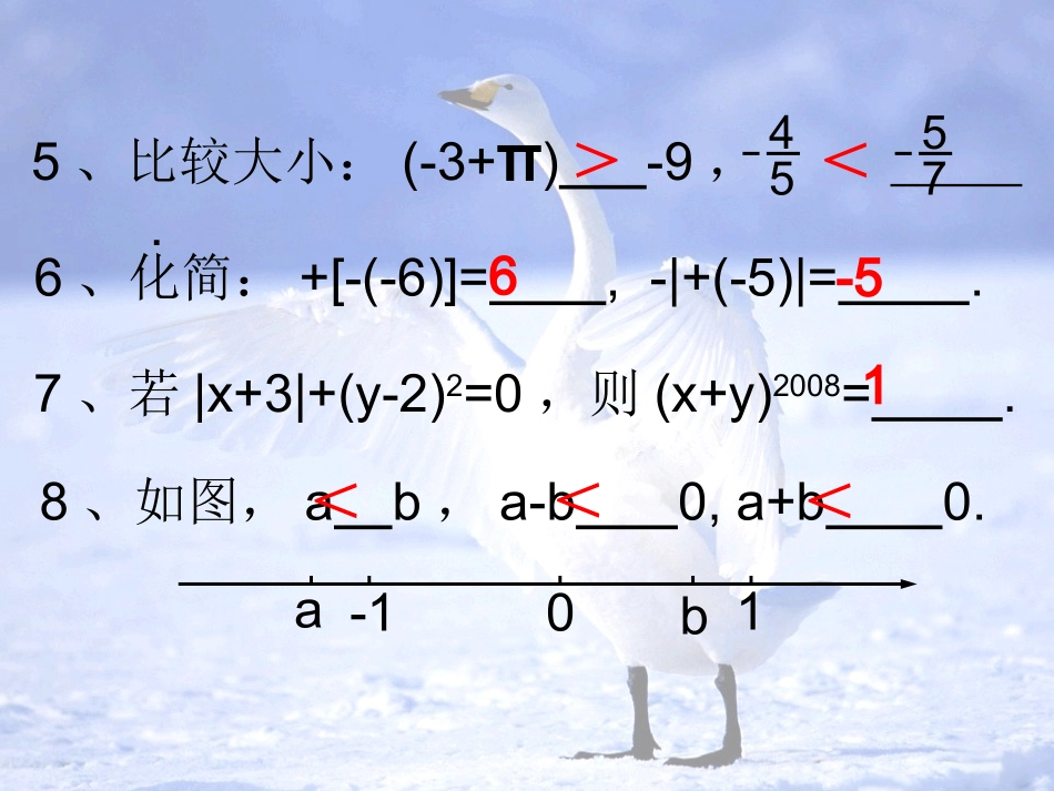 有理数复习（一）_第3页