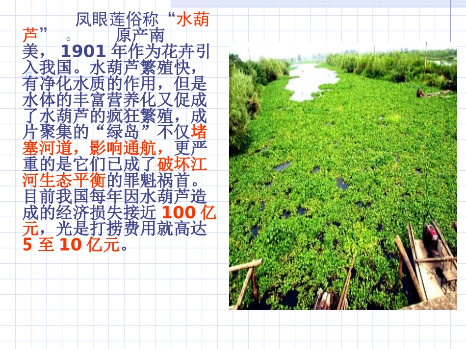 《生物入侵者》_第1页