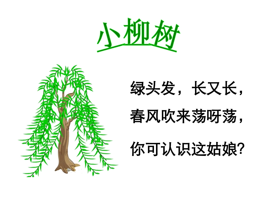 小柳树和小枣树公开课_第2页