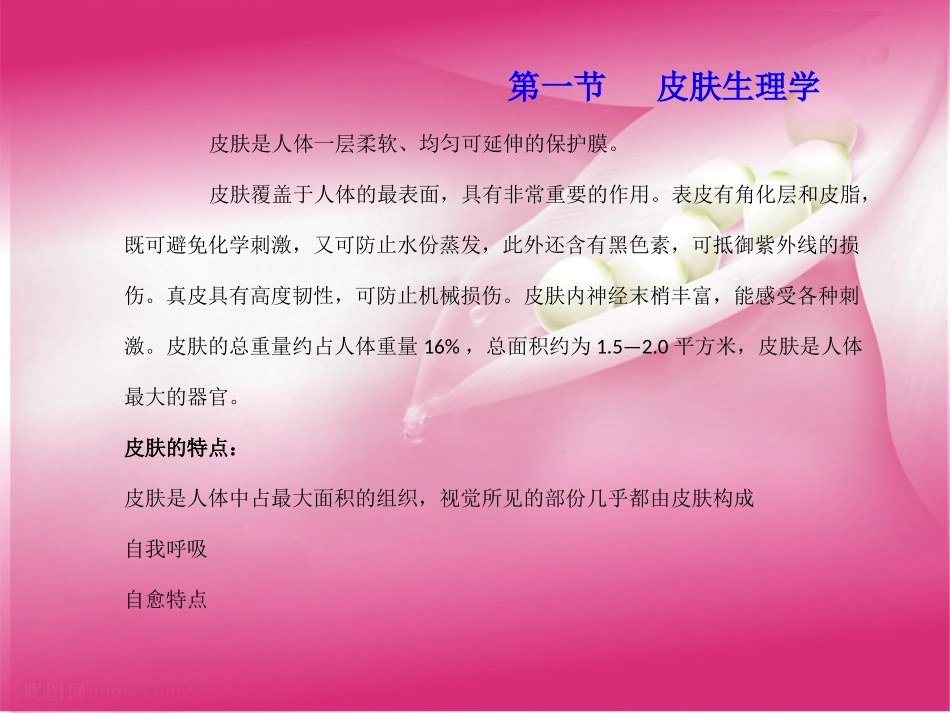 美容基础知识_第3页