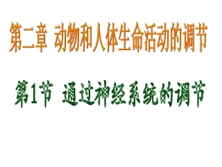 改21通过神经系统的调节(1)