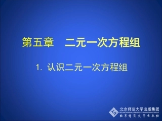 认识二元一次方程组演示文稿