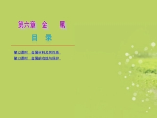 2013届中考化学复习方案第六章金属课件粤教版