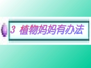 植物妈妈有办法第二课时
