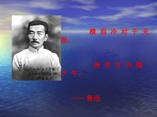 安阳县伦掌镇一中冯文军《一面》PPT课件
