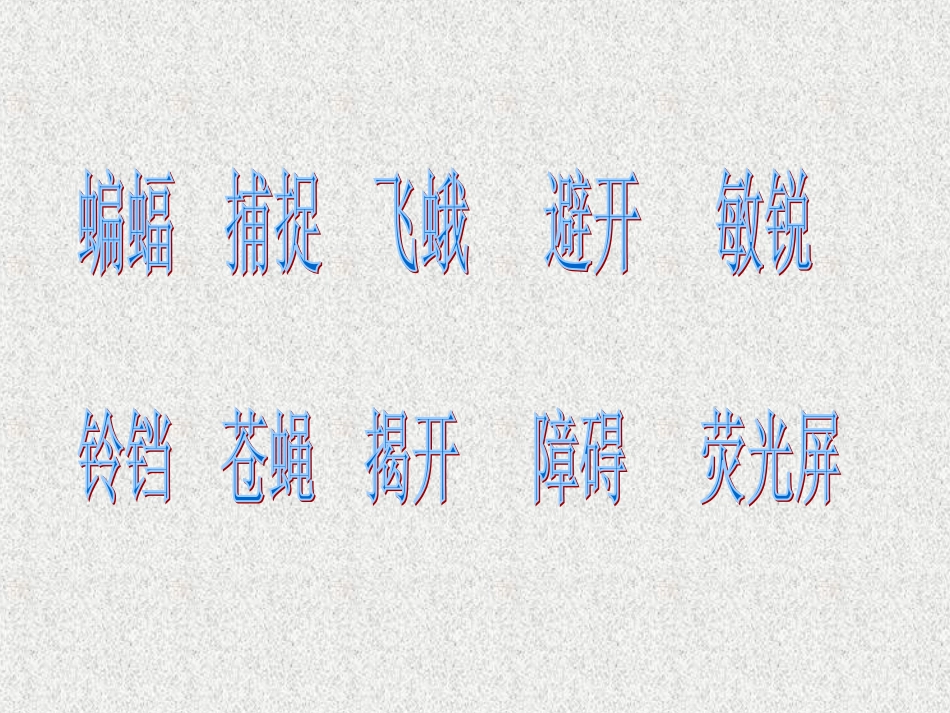 蝙蝠和雷达 课件_第3页