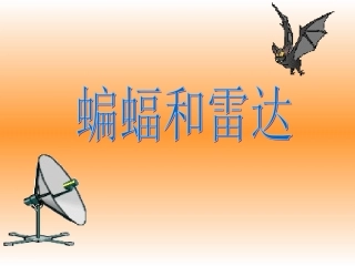 蝙蝠和雷达 课件