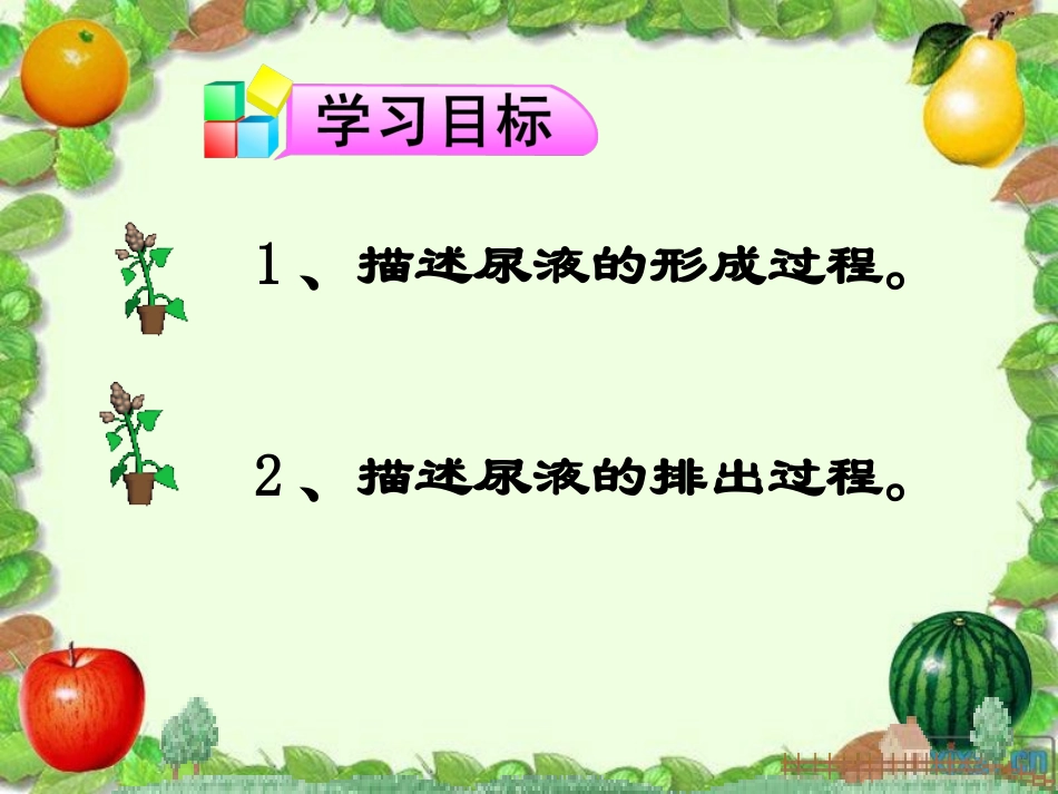 《人体废物的排出》第一课时_第2页
