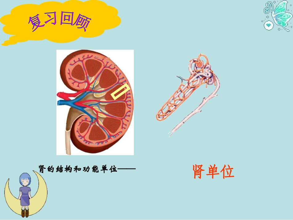 《人体废物的排出》第一课时_第3页