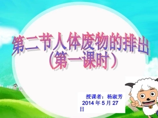 《人体废物的排出》第一课时