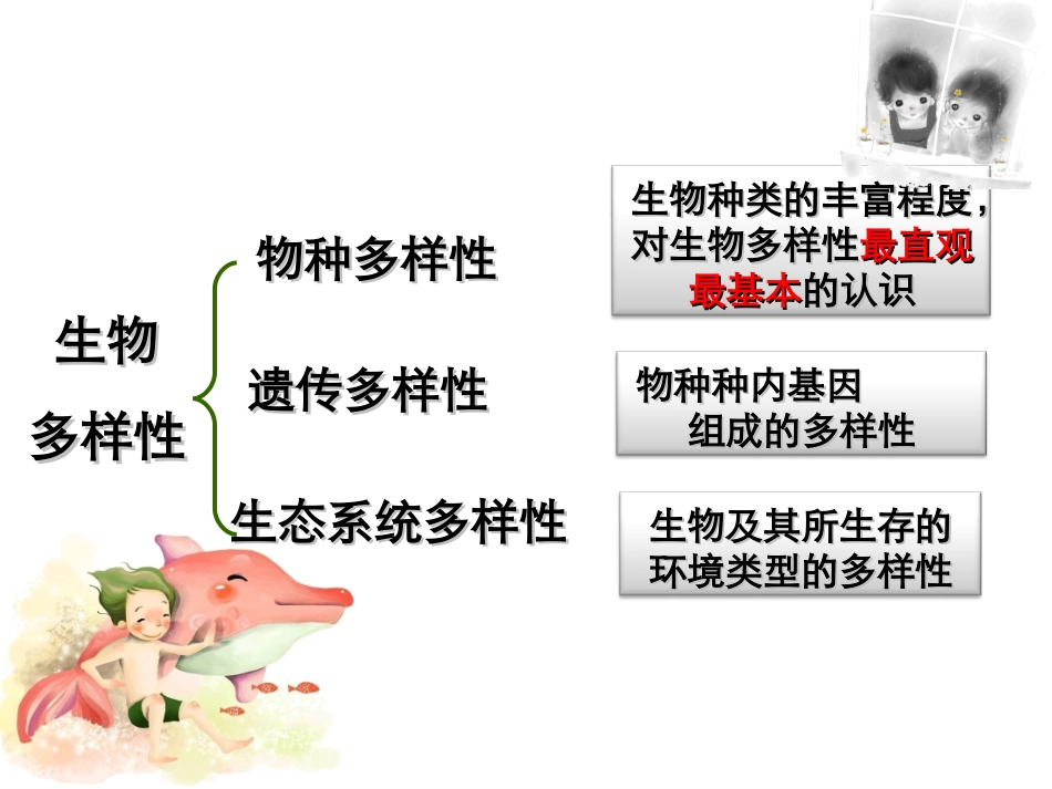 生物多样性课件_第3页