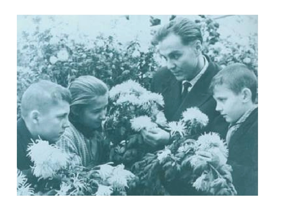 小学教育学2013年_第1页