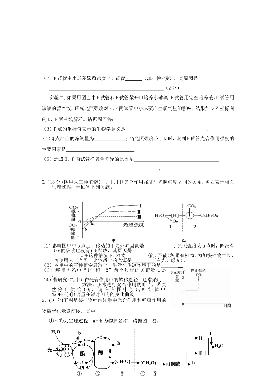 高考专题突破——光合作用与呼吸作用_第3页