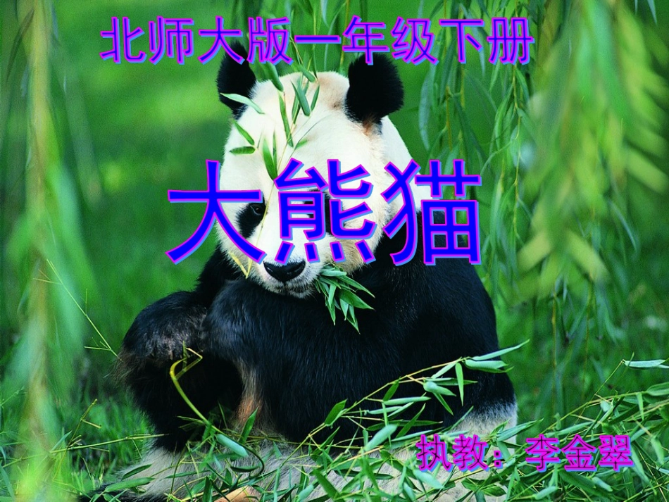 教科版一年级语文下册《大熊猫2李金翠_第1页