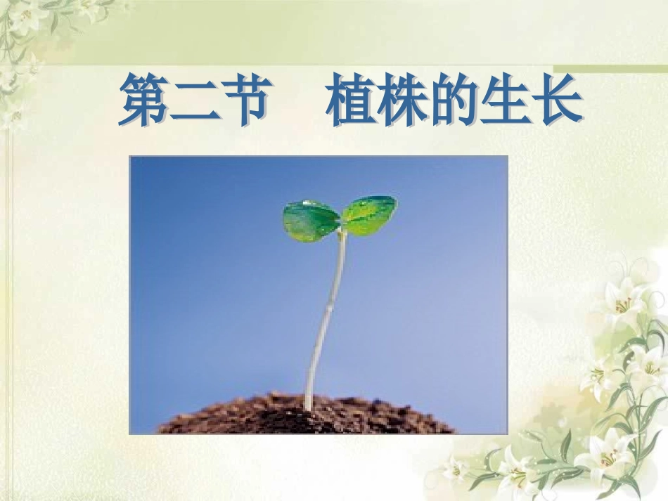 植株的生长___20121128_第3页