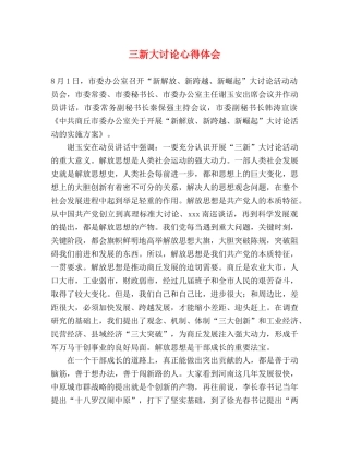 三新大讨论心得体会 