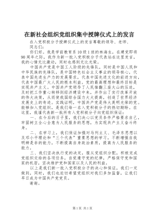 在新社会组织党组织集中授牌仪式上的发言稿