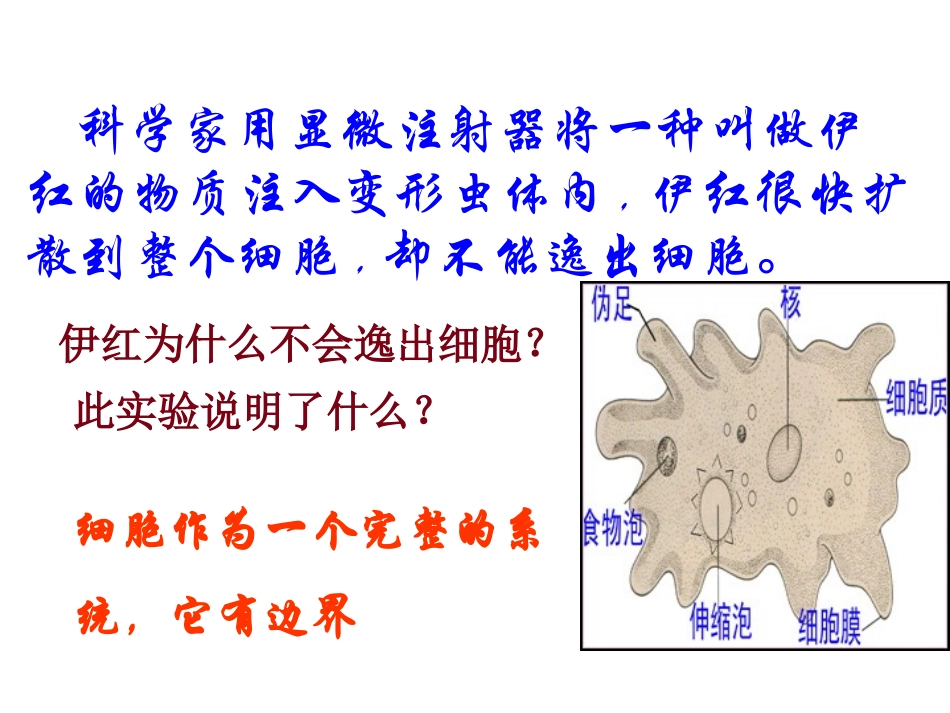 细胞膜系统的边界_第2页