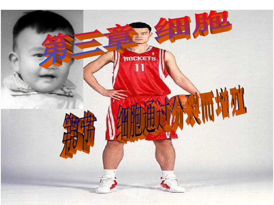 细胞通过分裂而增殖_第1页