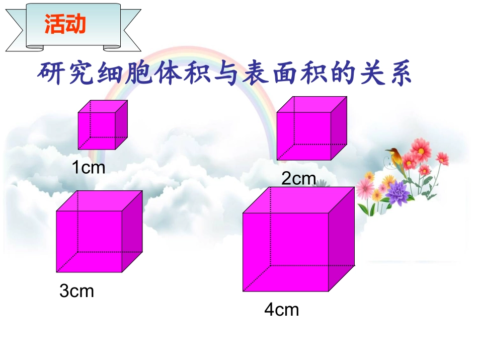 细胞通过分裂而增殖_第3页