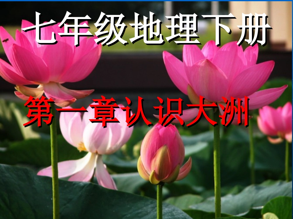 亚洲欧洲01_第1页