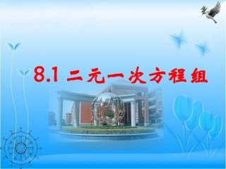 《二元一次方程组》参考课件1