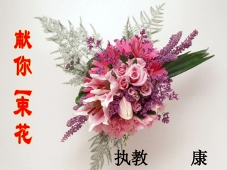 献你一束花课件1