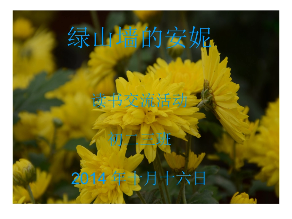 绿山墙的安妮_第1页