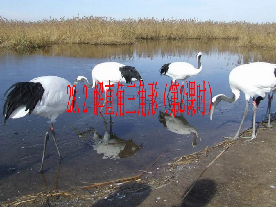 解直角三角形第课时课件人教新课标九年级下_第1页