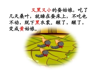 二年级语文下册第二组3蚕姑娘第一课时课件