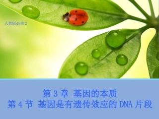 【生物】34基因是有遗传效应的DNA片段课件2（人教版必修2）